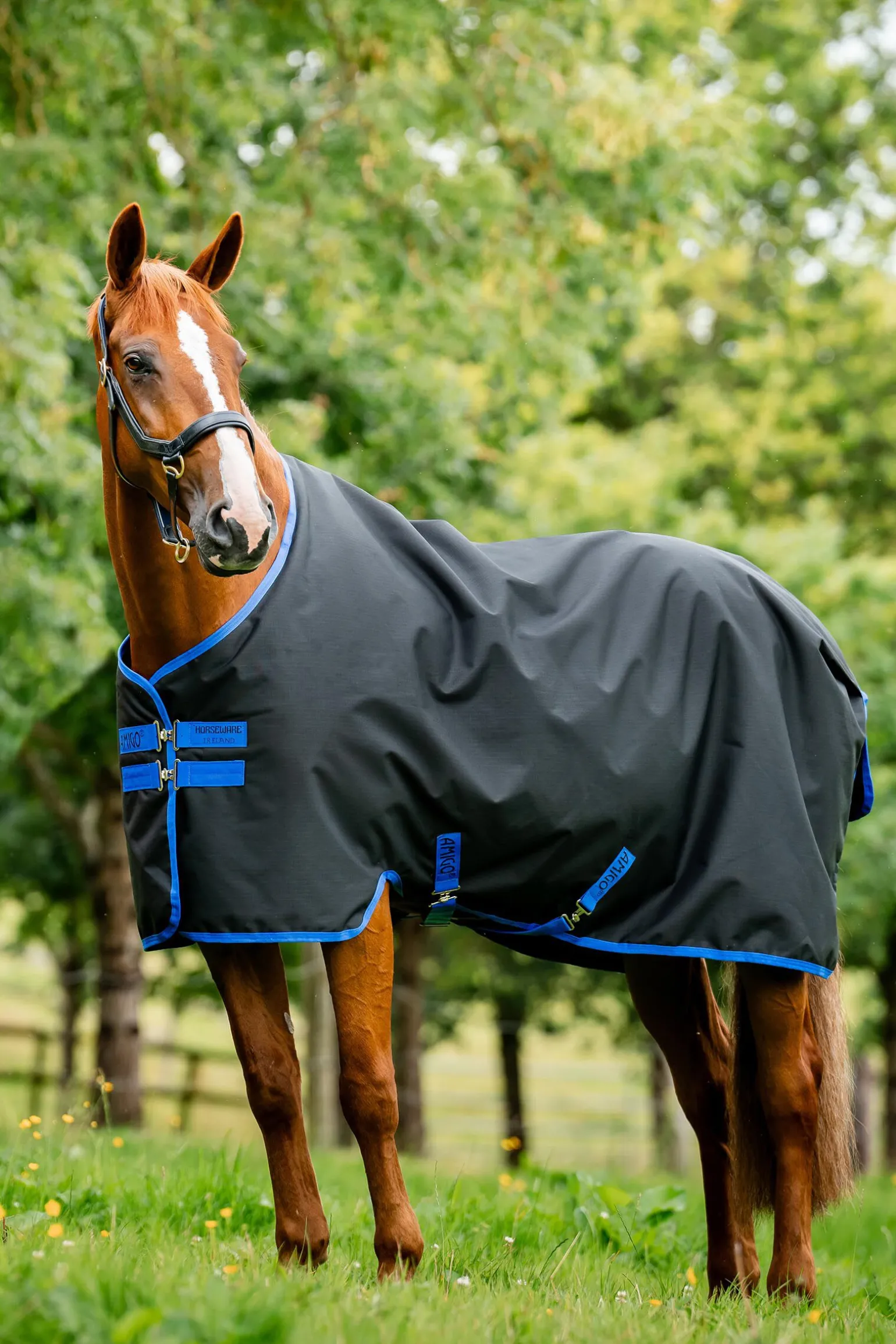 Horseware Amigo Ripstop 900 Fleeceforet Original 50g