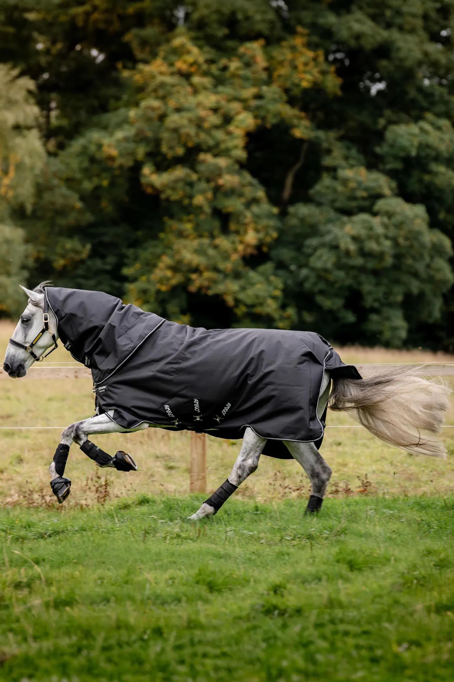 Horseware Amigo Super Bravo Plus utedekken med avtakbar halsdel, 250 g