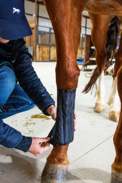 Horseware Ice-Vibe belegg