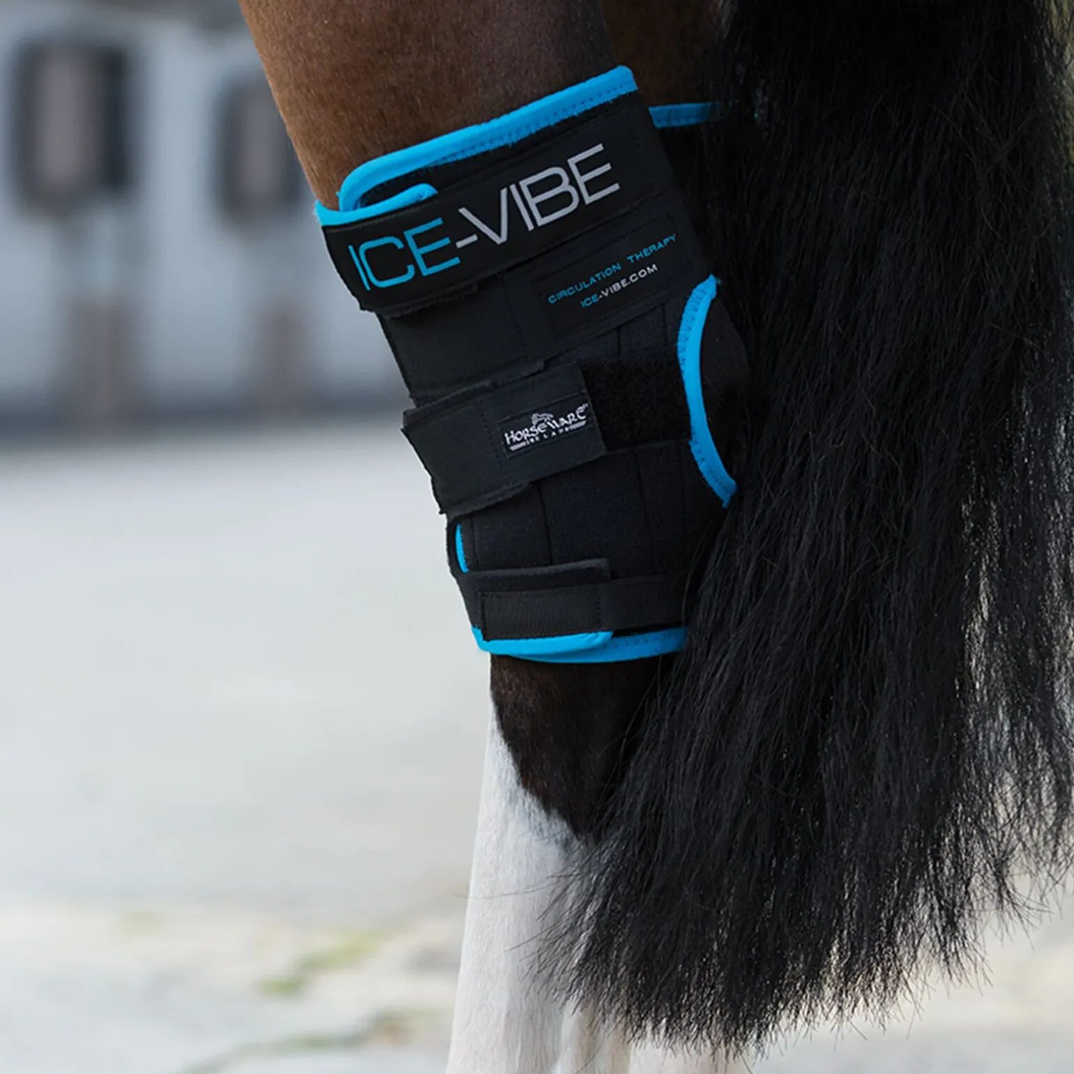 Horseware Ice-Vibe hasebelegg