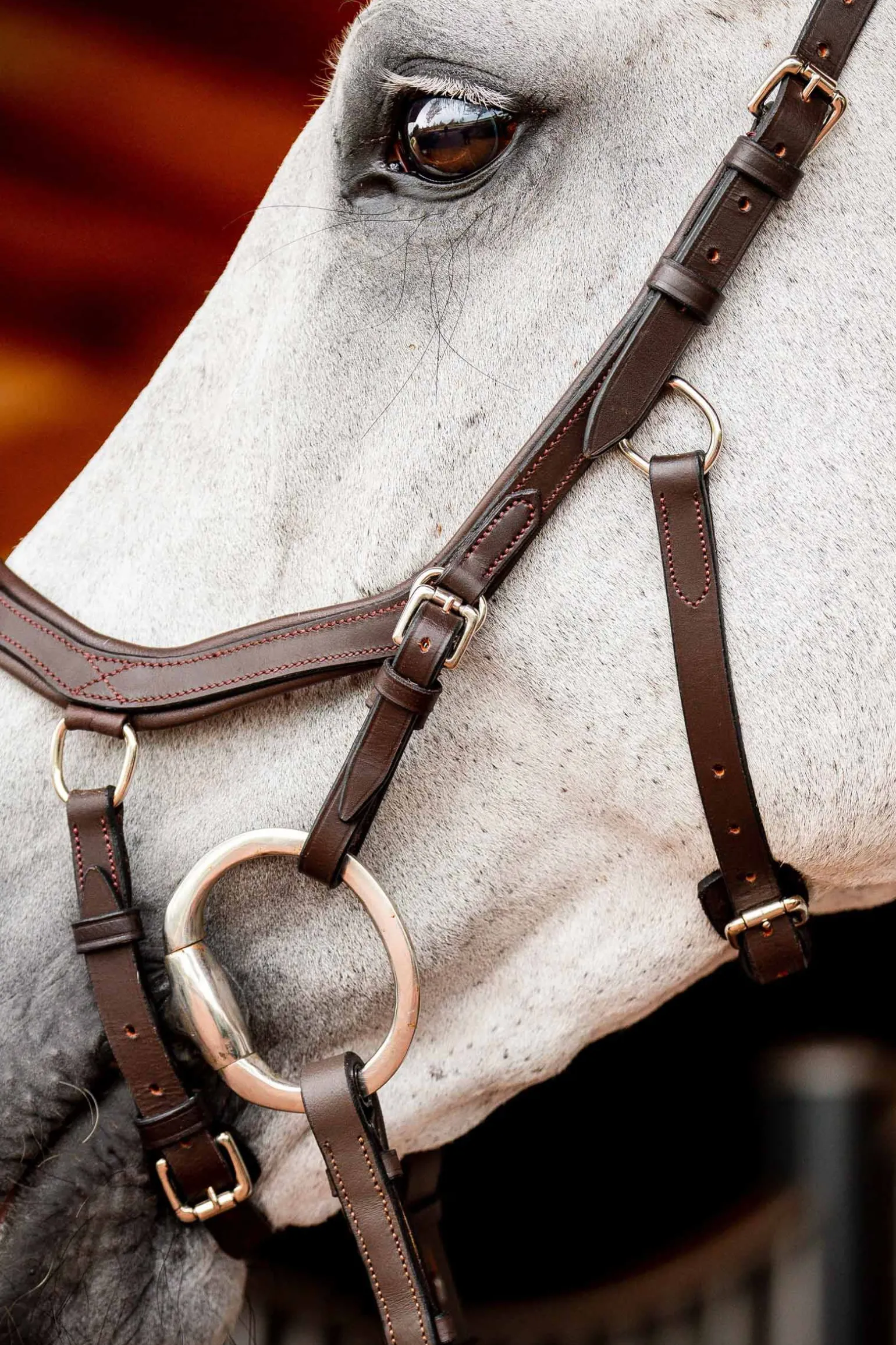 Horseware Micklem 2 Competition hodelag med gummitøyler