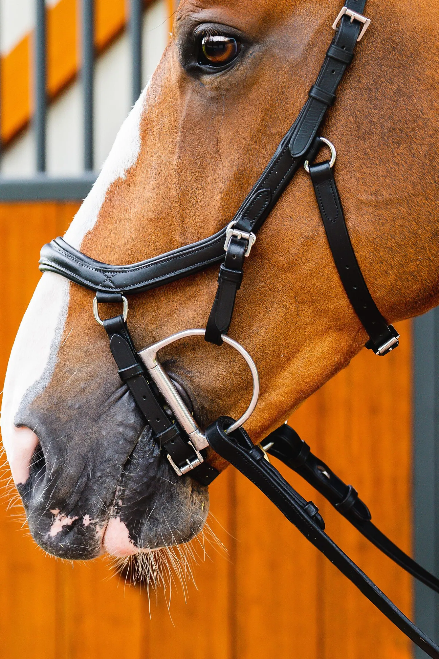 Horseware Micklem 2 Deluxe Competition Hodelag