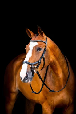 Horseware Micklem 2 Diamante Competition Hodelag