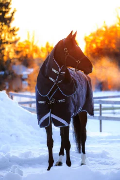 Horseware Rambo Duo utedekken med avtakbar hals, 100 gram