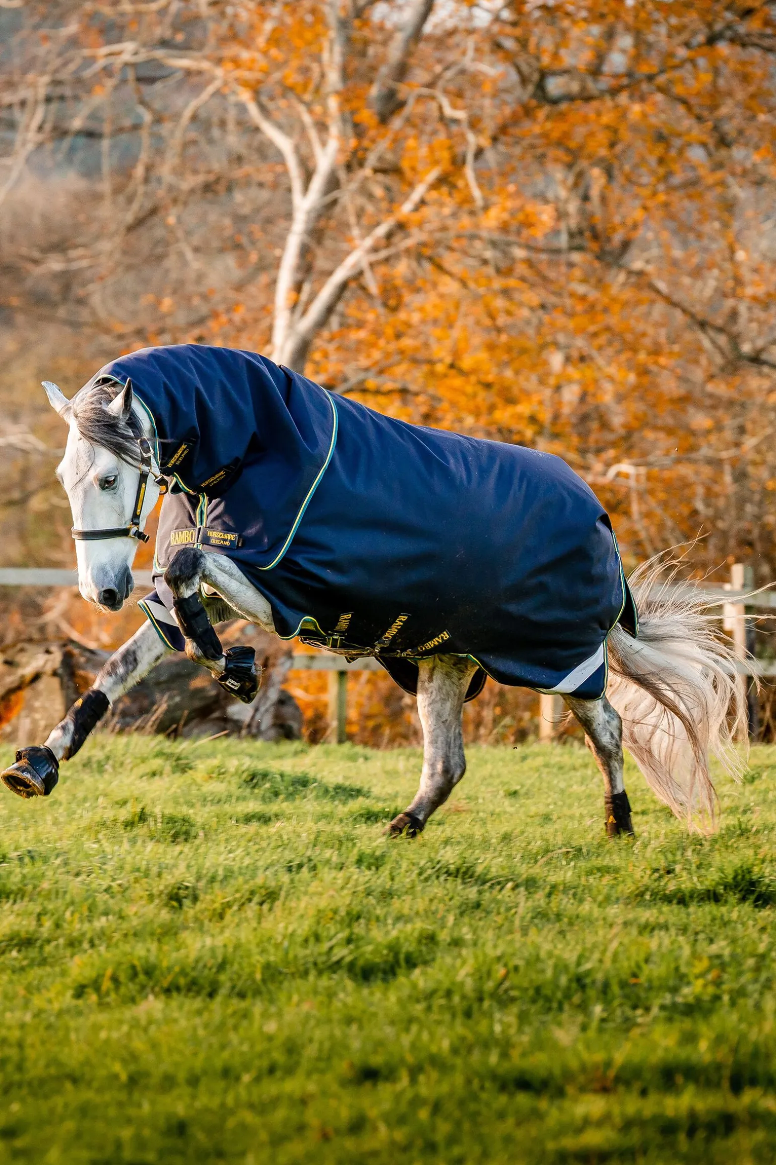 Horseware Rambo Force 2.0 utedekken, 100g (100 g yttertøy med 100 g liner og 300 g liner)