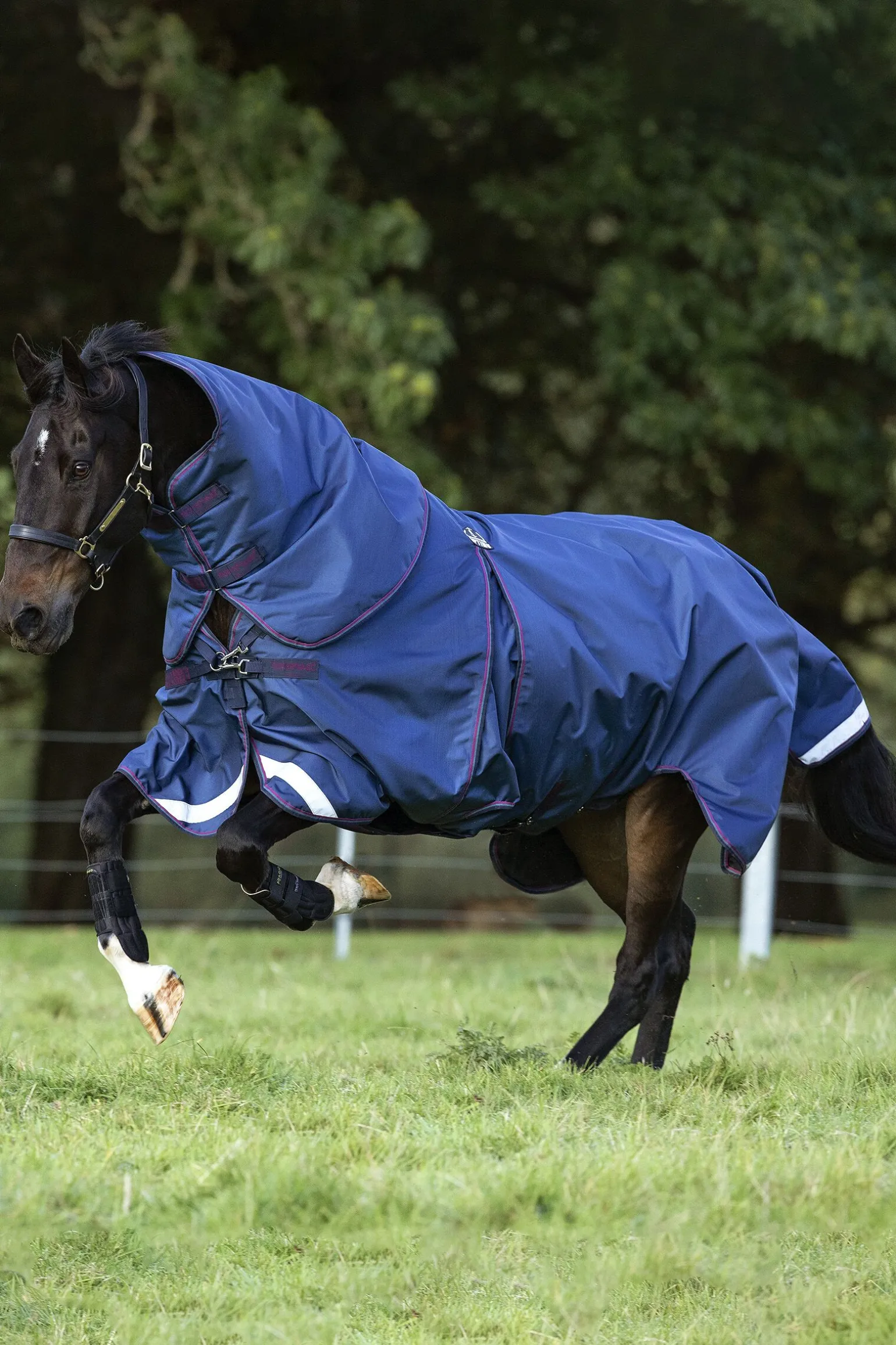 Horseware Rambo Optimo Plus Beitedekken, 0g