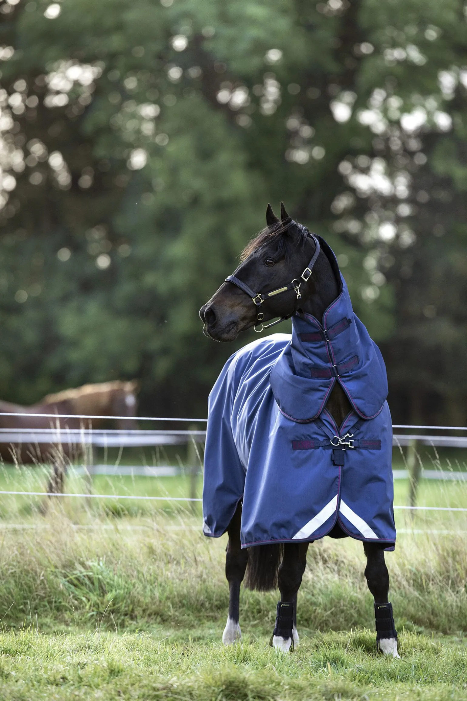 Horseware Rambo Optimo Plus Beitedekken, 0g