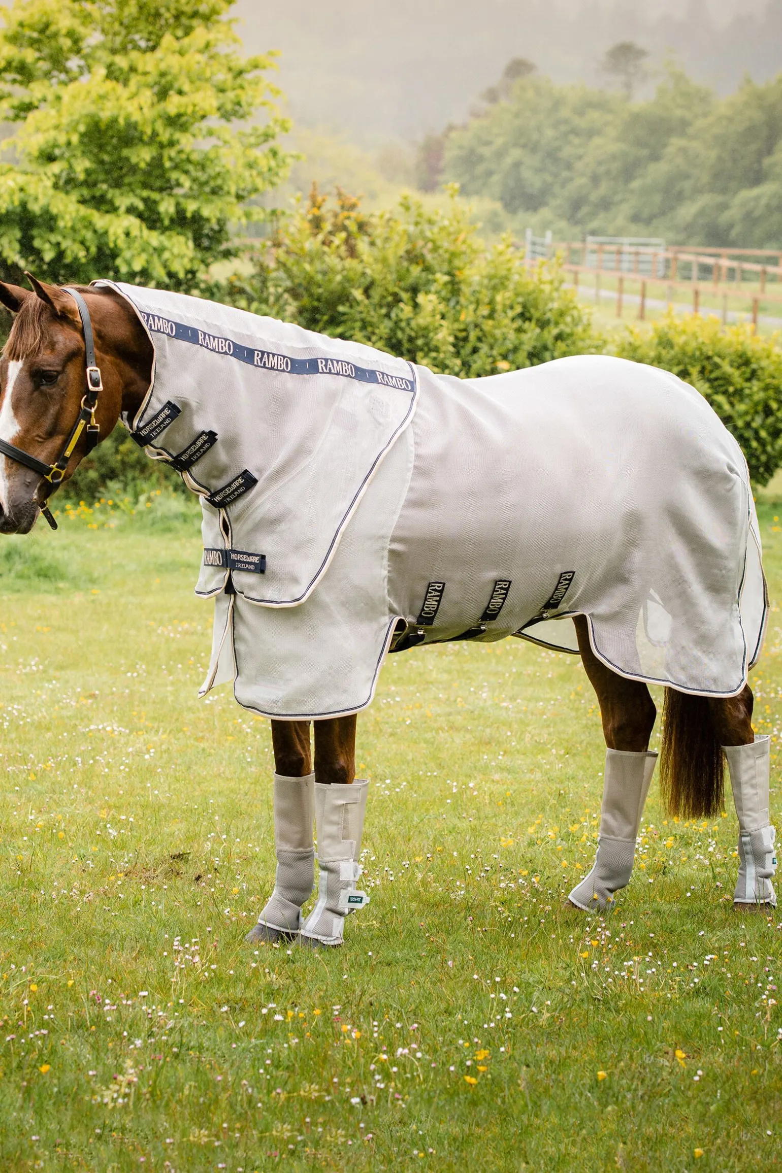 Horseware Rambo Tech-Fit Fluebeskytter (Sett med 4)
