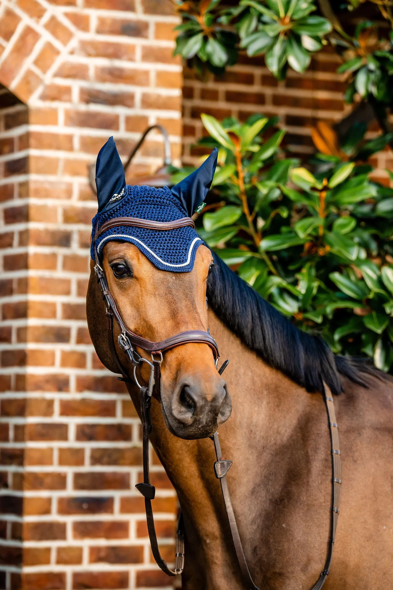 Horseware Signature fluehette