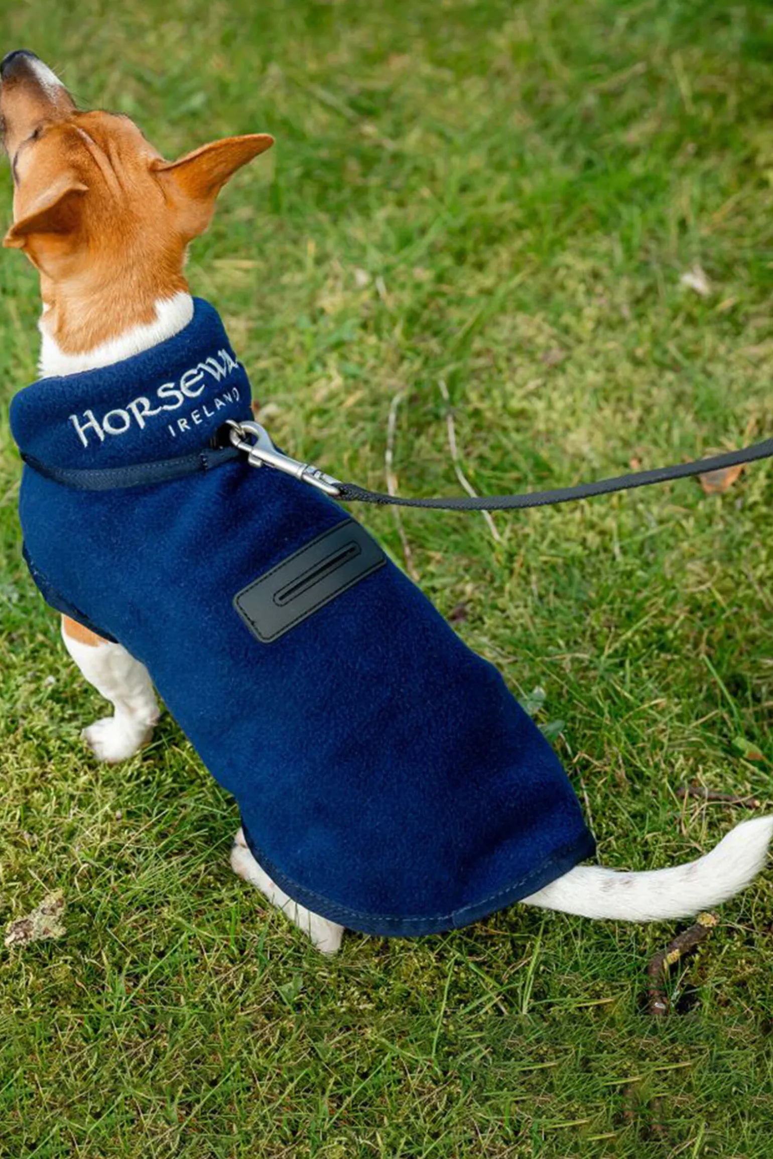 Horseware Signature Hundefleece-teppe