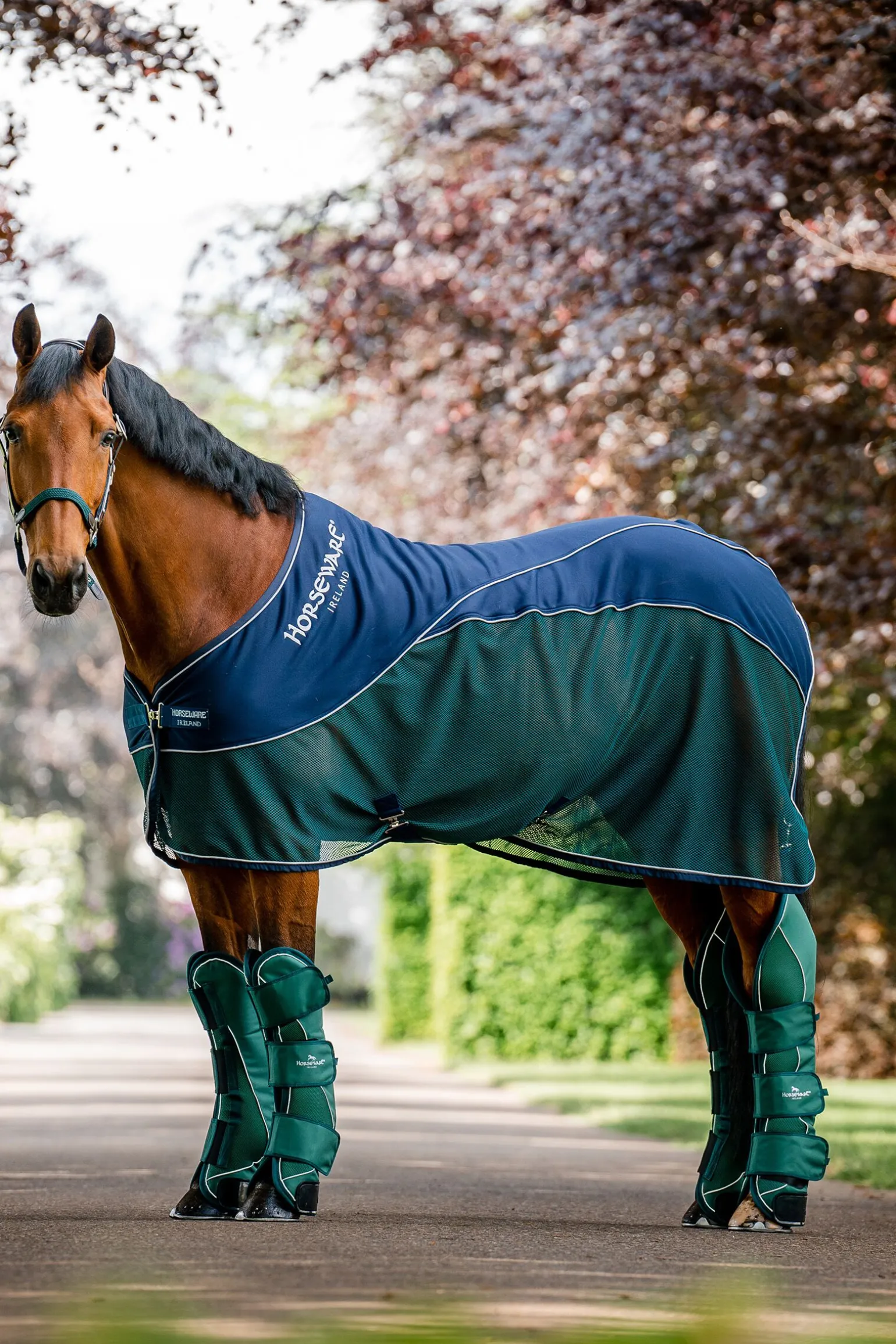 Horseware Signature Sport Svetteteppe