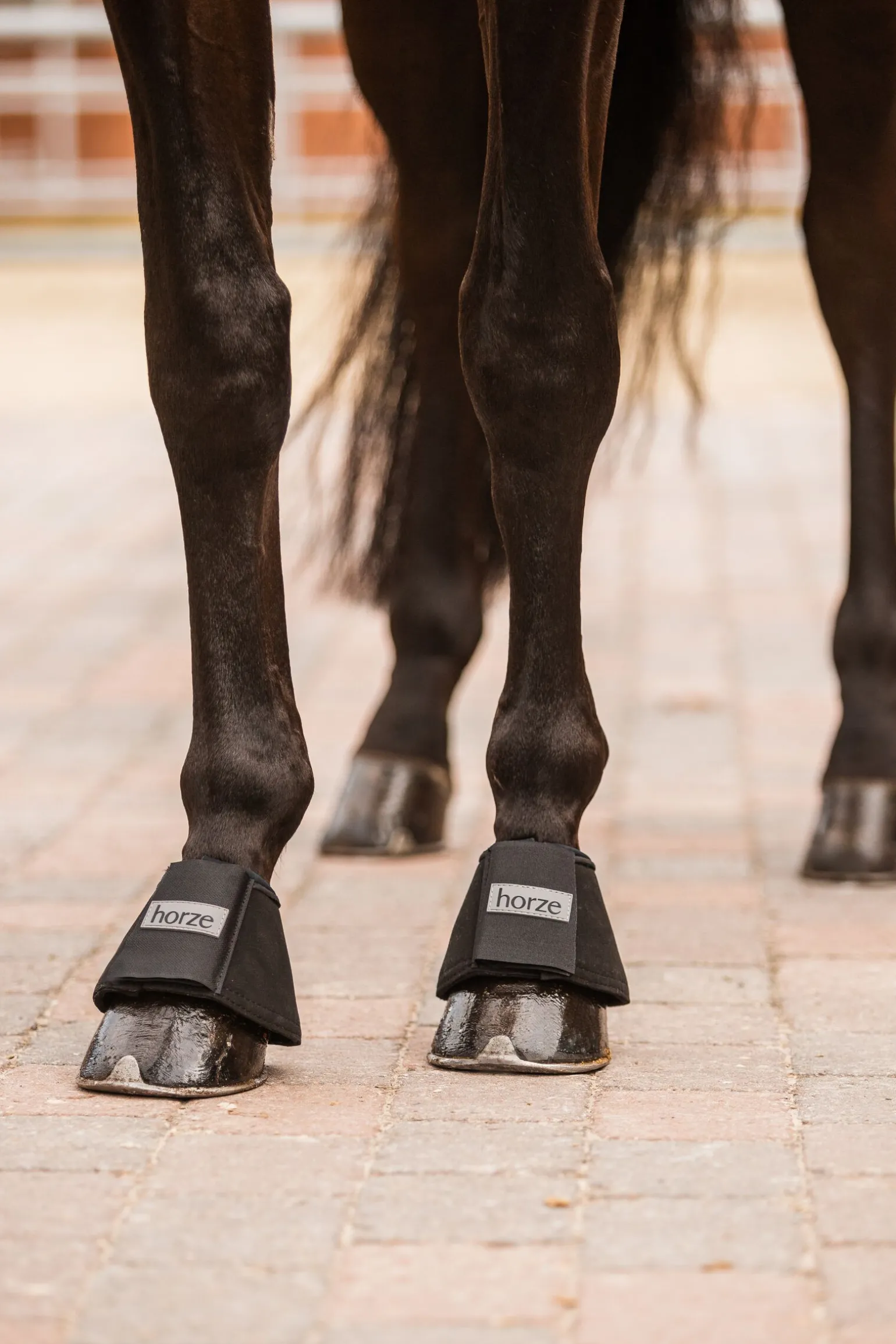 Horze allround kopper