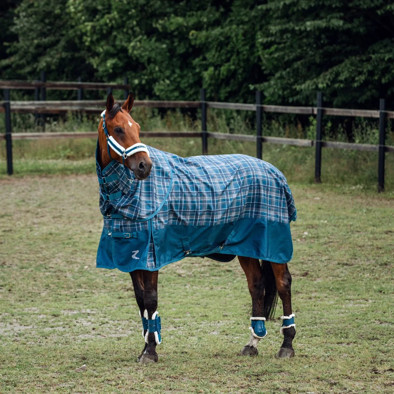 Horze Caliber bakbeinsbelegg med teddyfôr