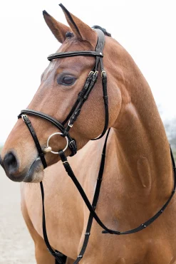 Horze Constance polstret hodelag med flash-nesereim