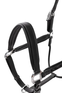 Horze Delémont lærgrime