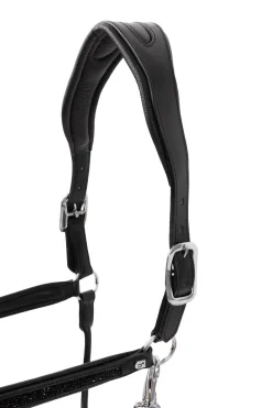 Horze Delémont lærgrime