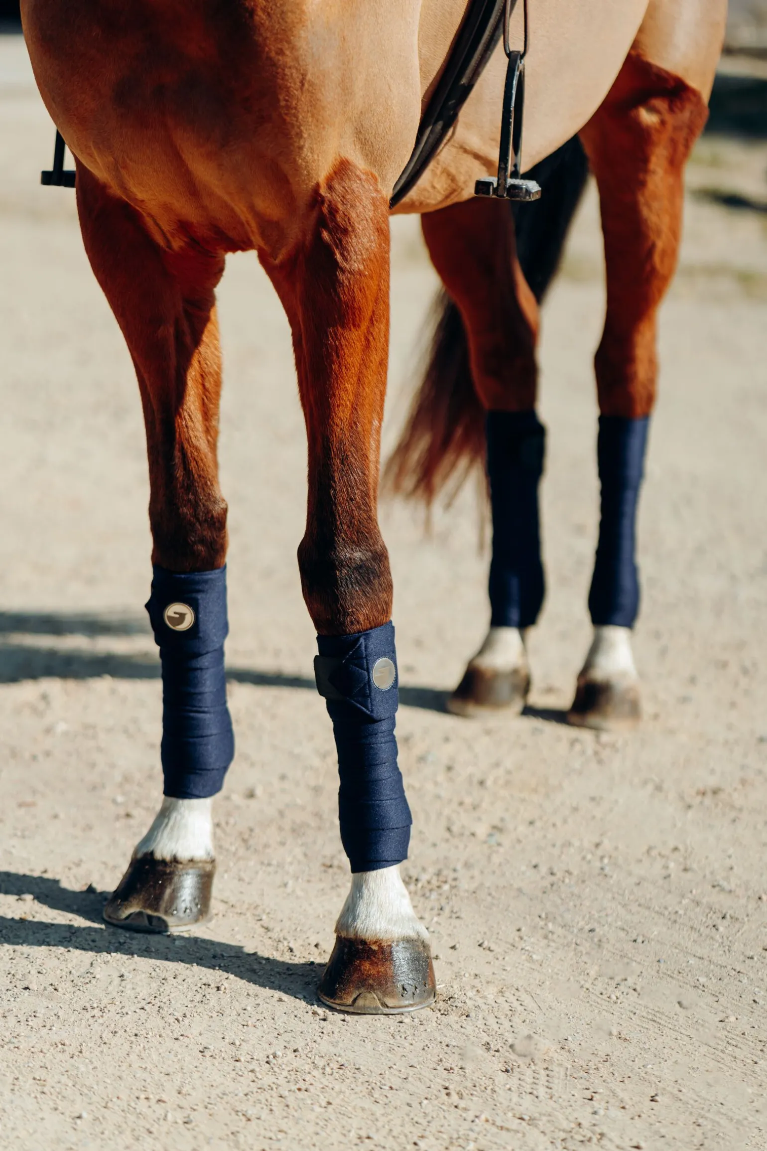 Horze Ella ponnibandasjer