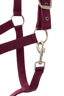 Horze Eternal Gaze Grimesett