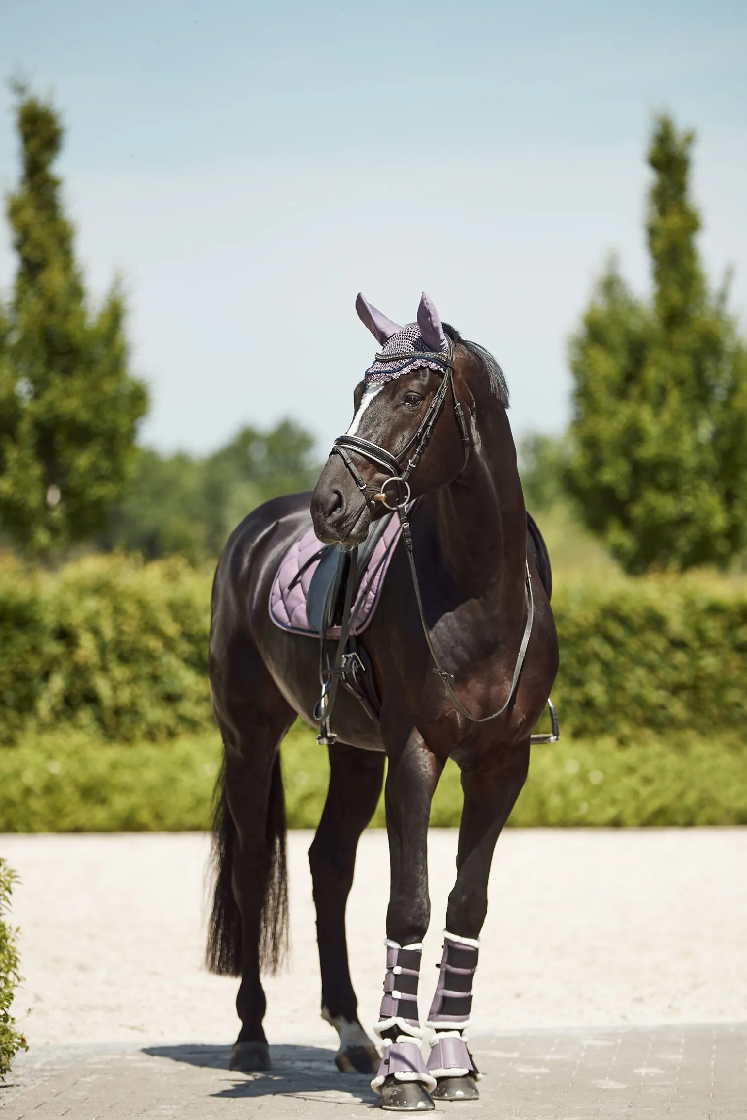 Horze Ghent stryksokker med fuskepels
