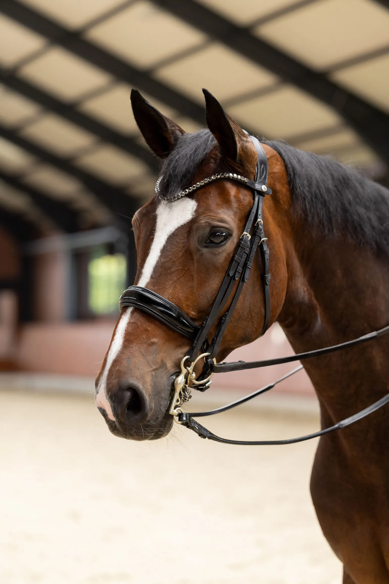 Horze Glamourdale Weymouth hodelag