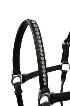 Horze grime med krystaller