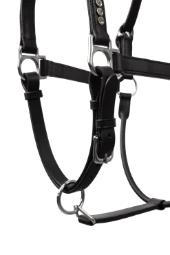 Horze grime med krystaller