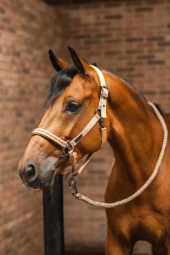 Horze High Life leietau med panikkrok