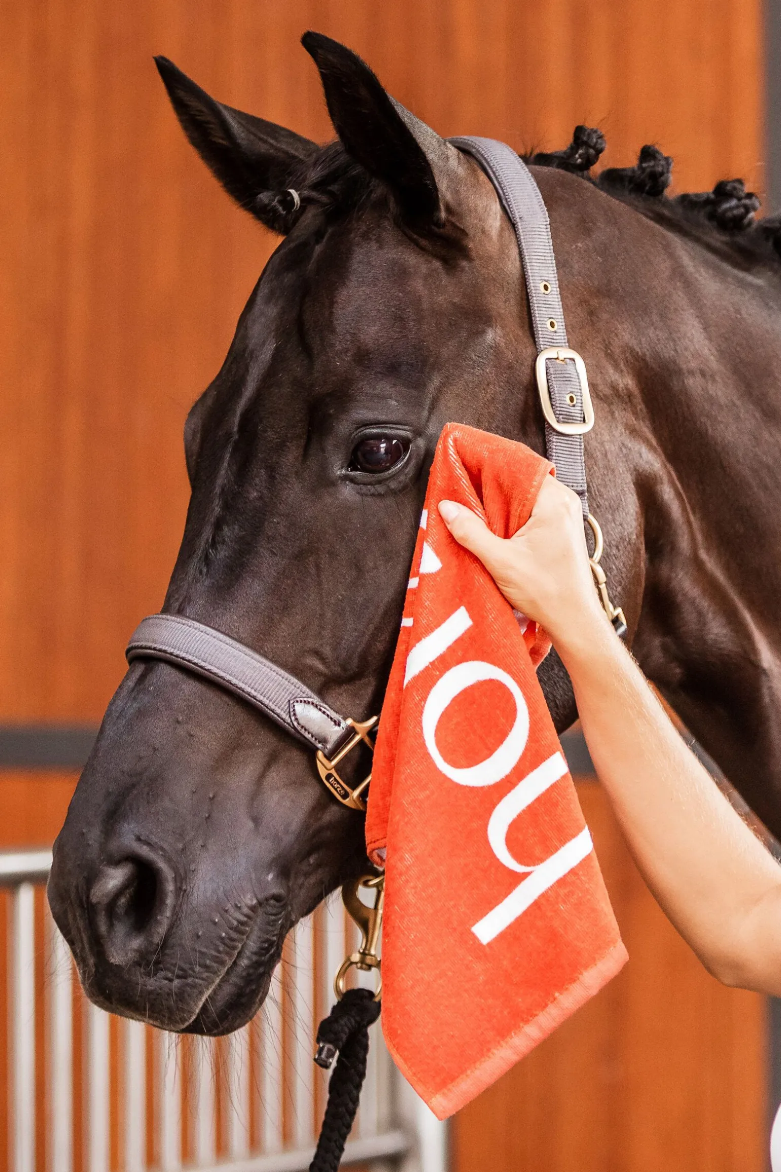 Horze hånd-håndkle