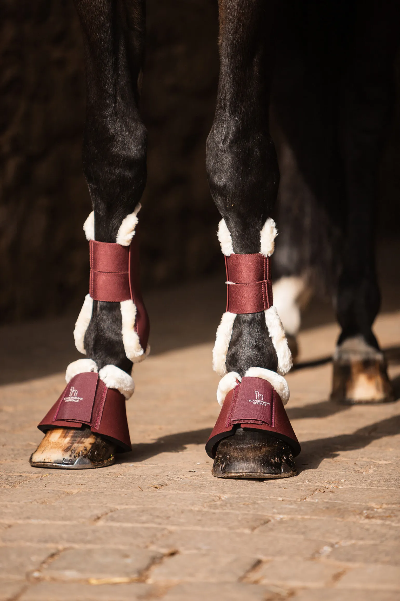 Horze Leighton Teens Collection kopper