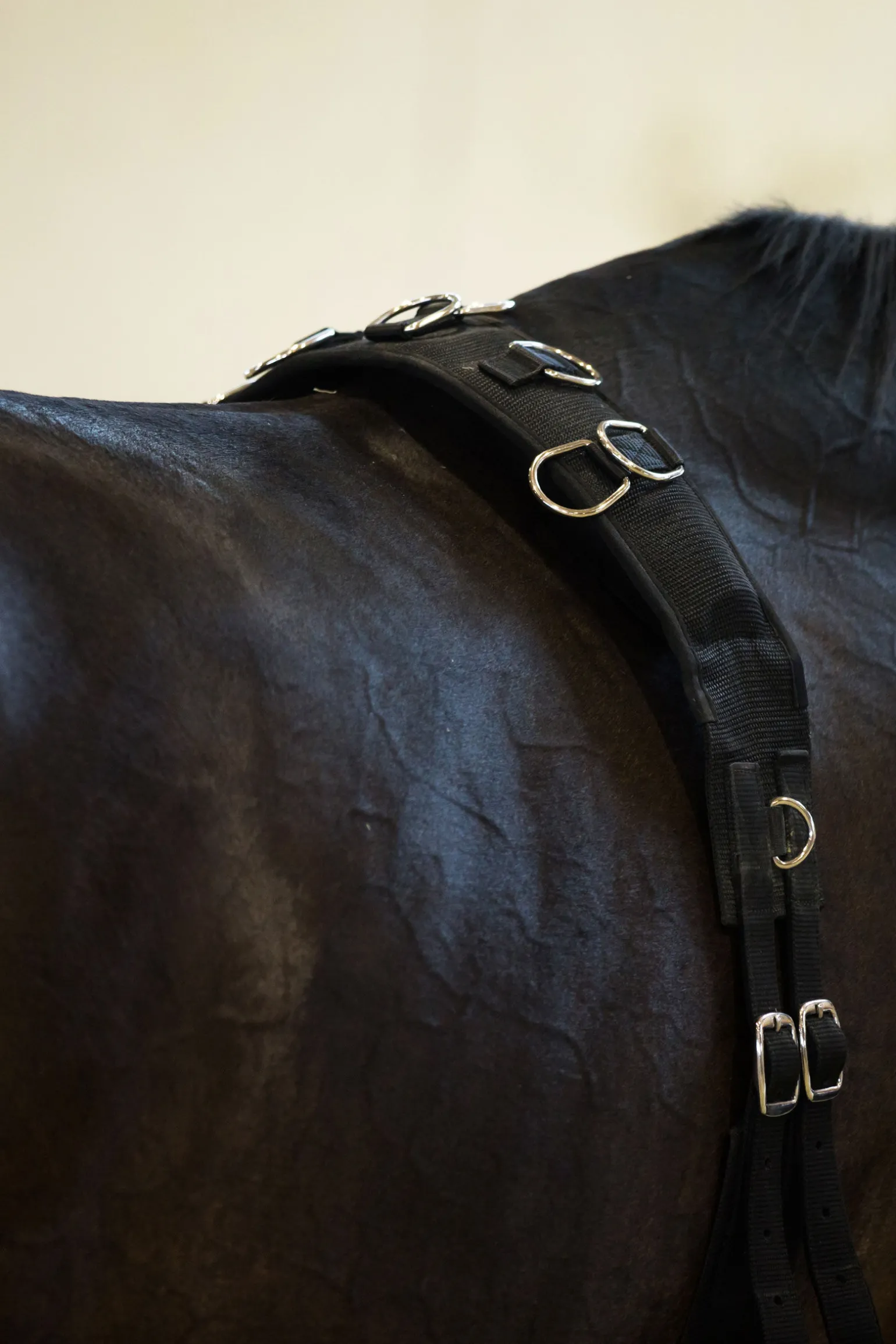 Horze longeringsgjord i nylon