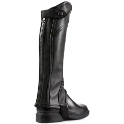 Horze lærchaps, barn