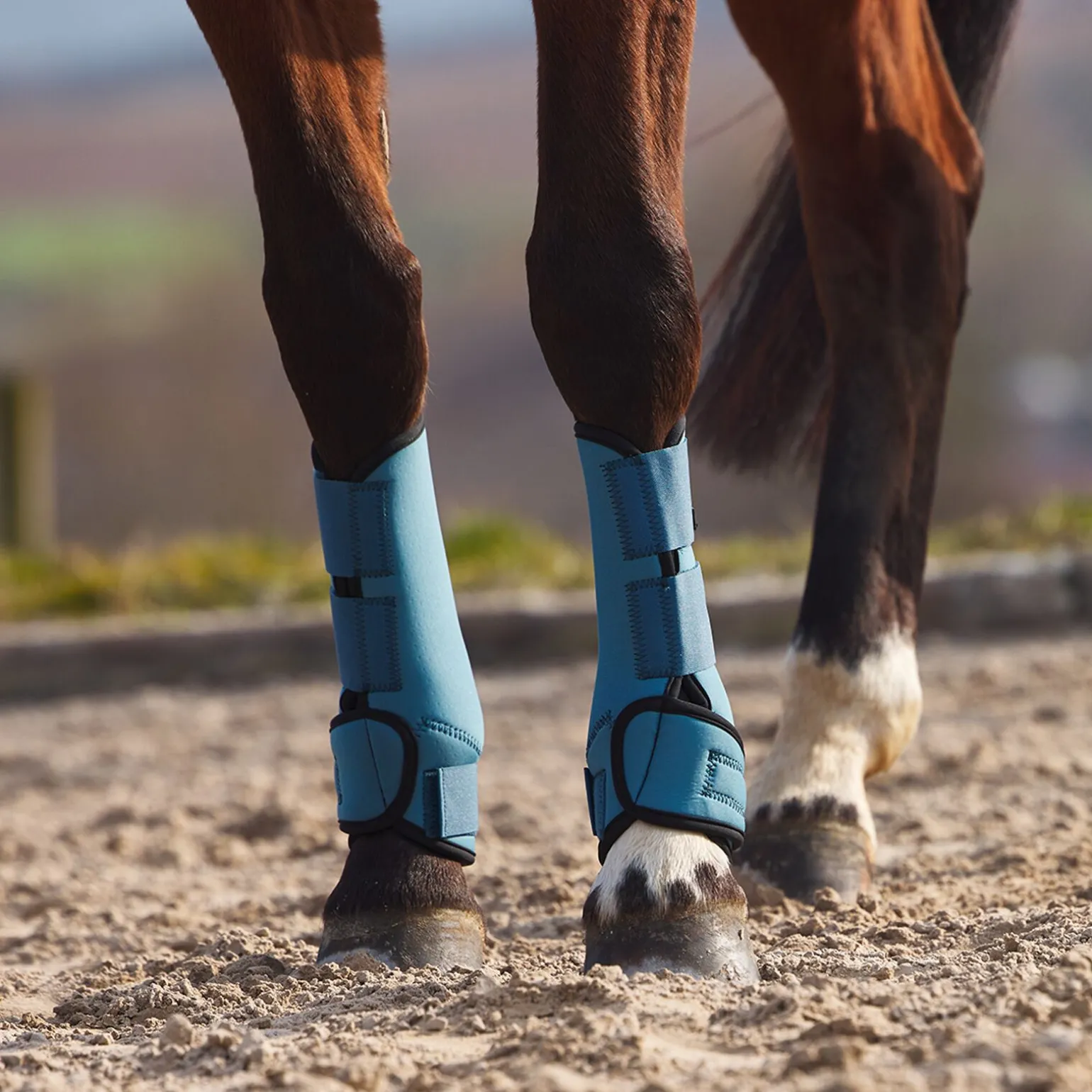 Horze Marquees stryksokker i neopren