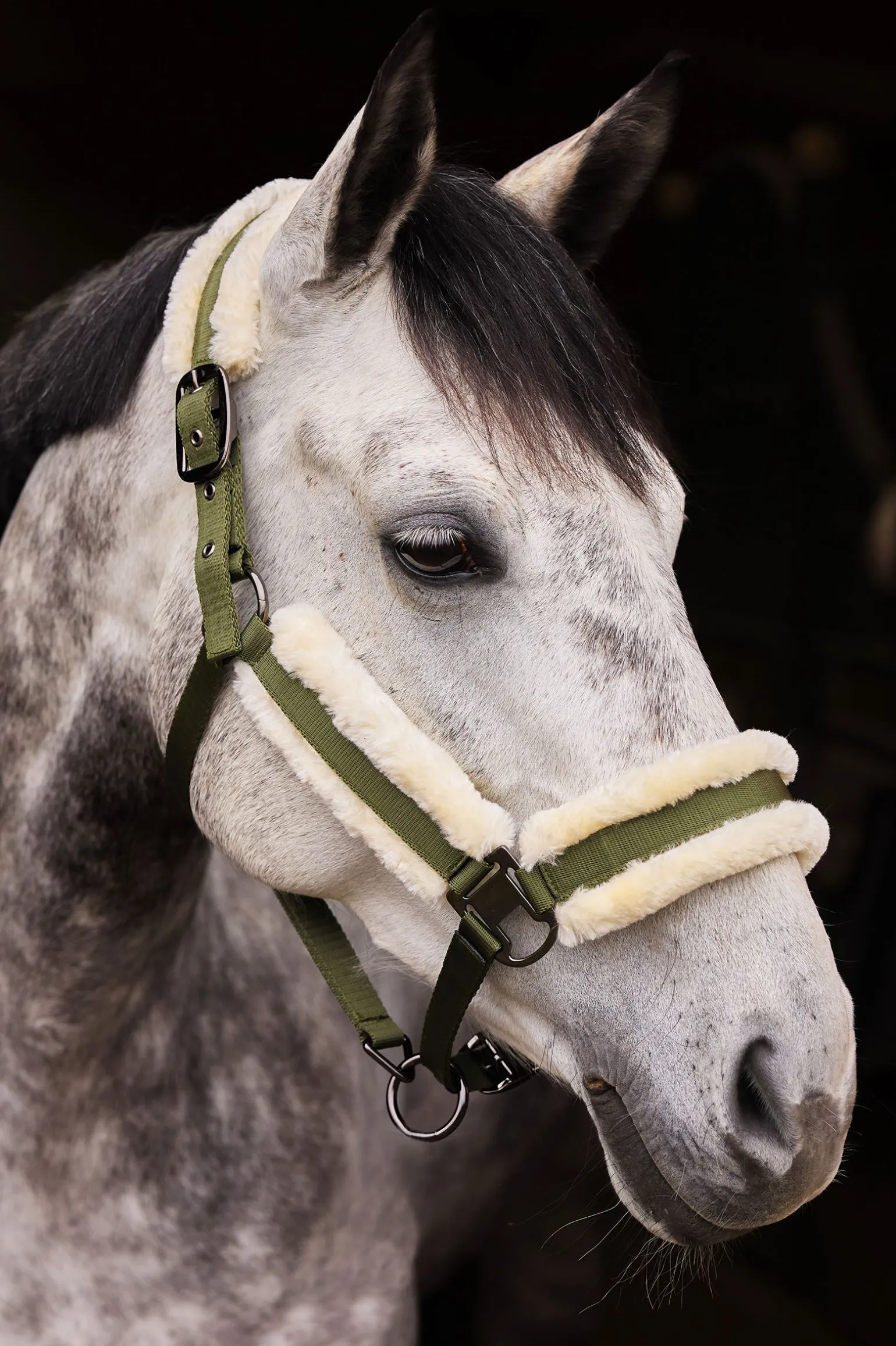 Horze Marquess grime med fuskepels