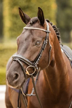 Horze Nancy Crystal and Wire pannebånd