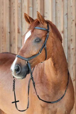 Horze Orlando kombinert anatomisk bittløst hodelag