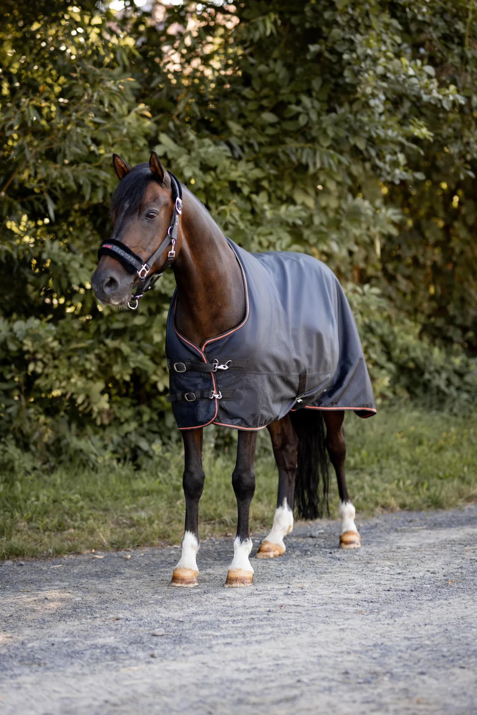 Horze Pegasus ponnidekken med fleecefôr