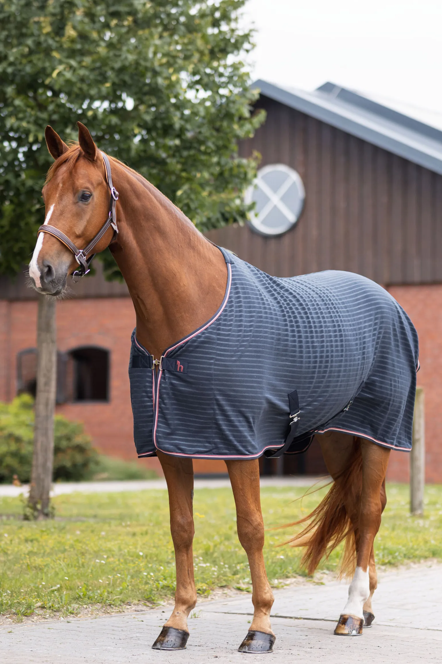 Horze Physical Sophistication fleece cooler