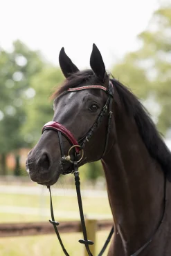 Horze Physical Sophistication hodelag