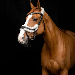 Horze Rome anatomisk hodelag