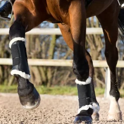 Horze Signature stryksokker