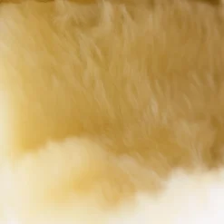 Horze Signature stryksokker