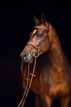 Horze Sion hodelag med tøyler