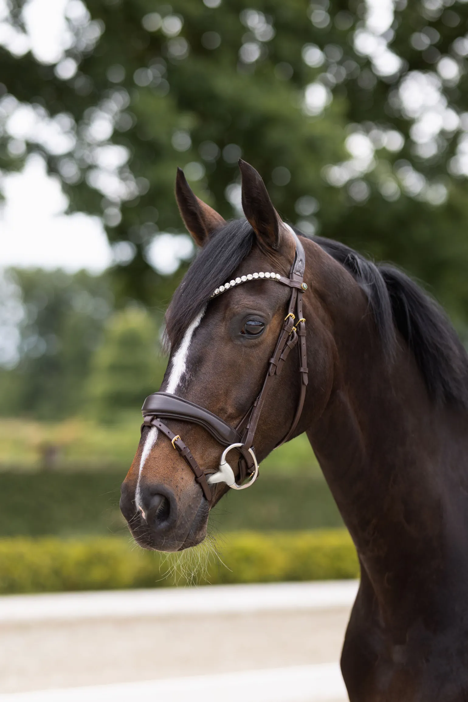 Horze Somerset anatomisk hodelag