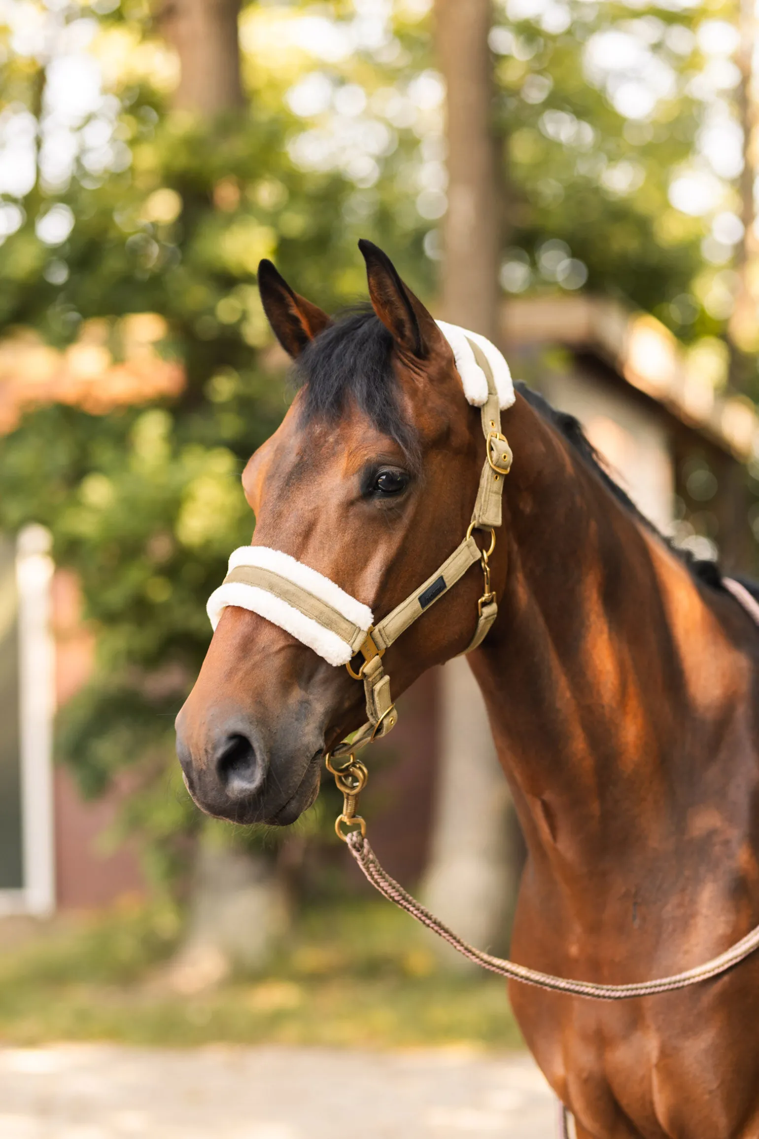 Horze St. Moritz grime