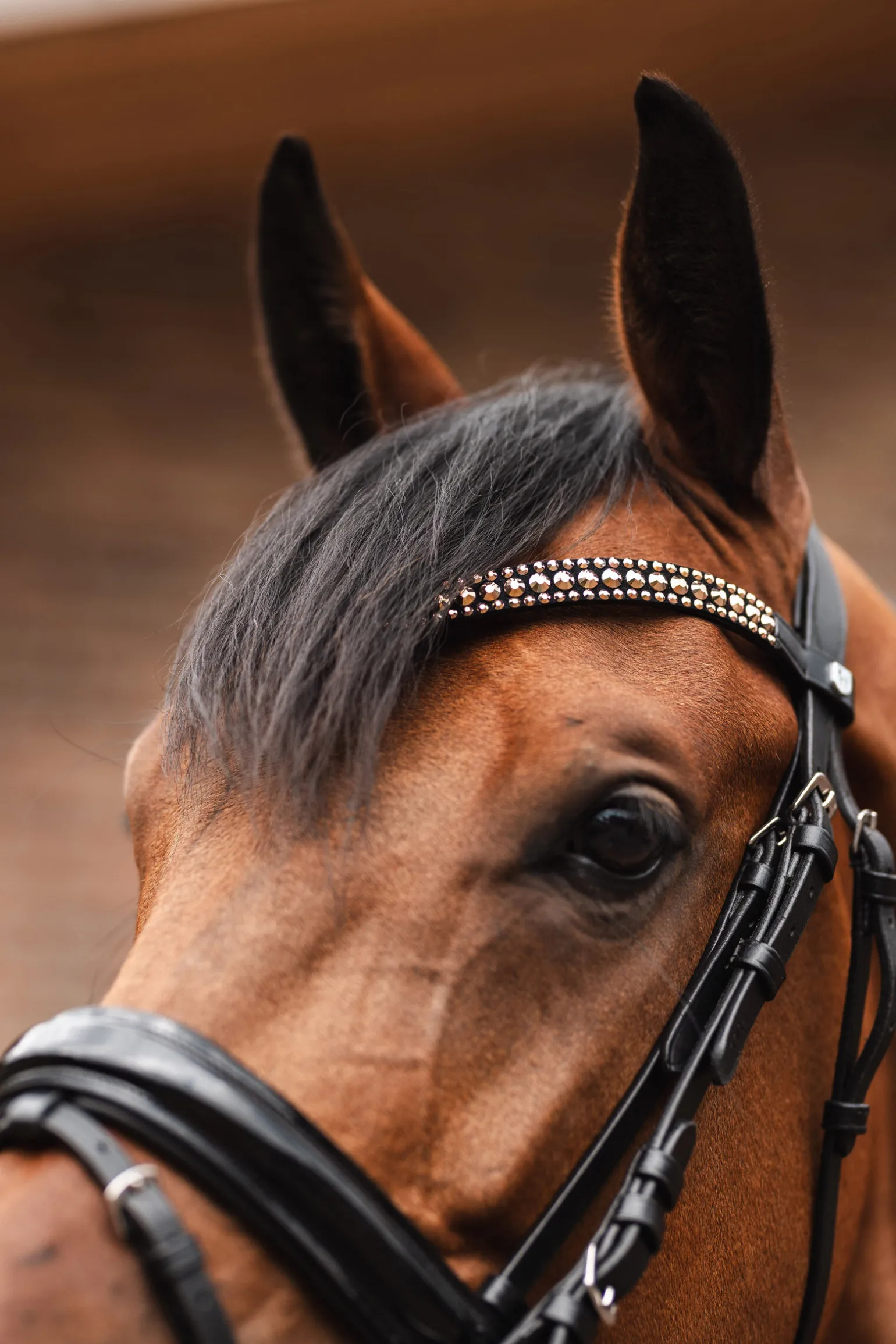 Horze St. Moritz pannereim