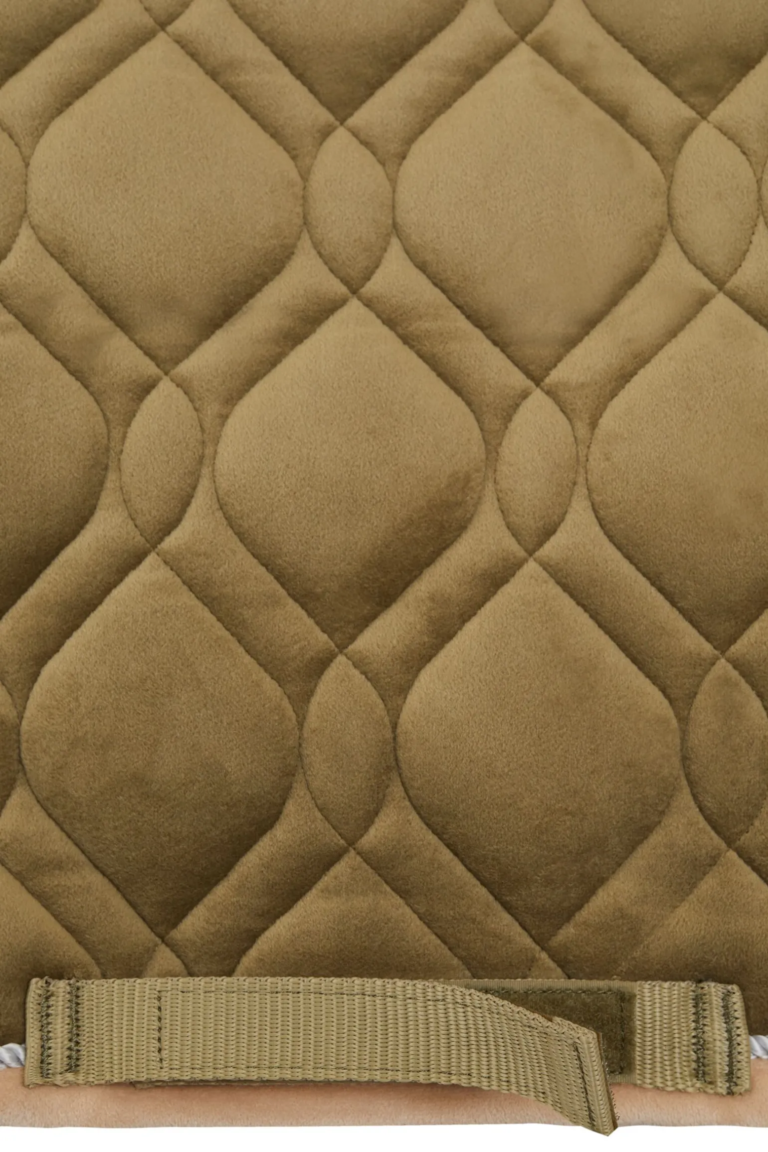 Horze St. Mortiz dressursjabrak