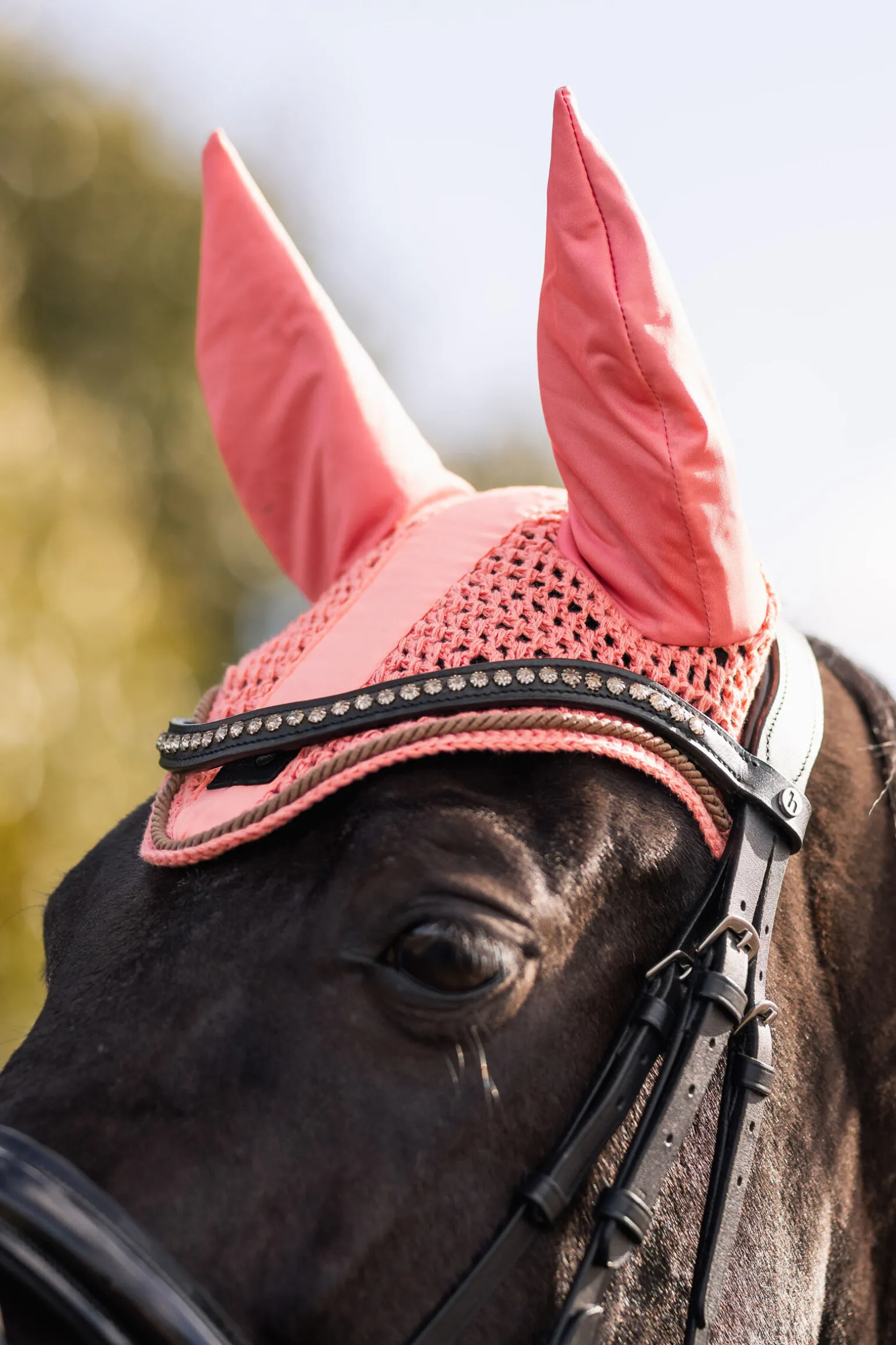Horze Urban Vitality ørehette
