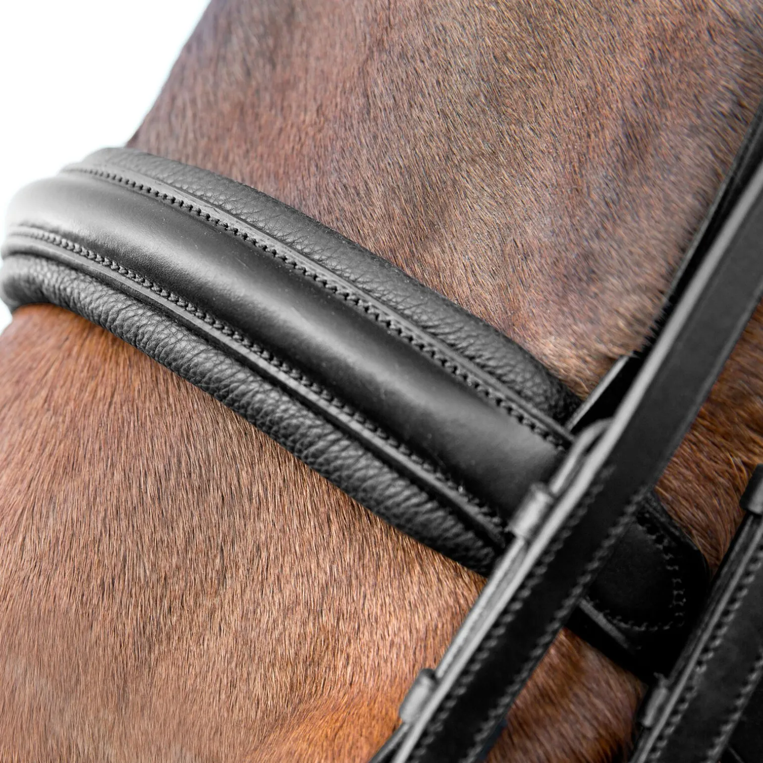 Horze Vienna anatomisk kandarhodelag