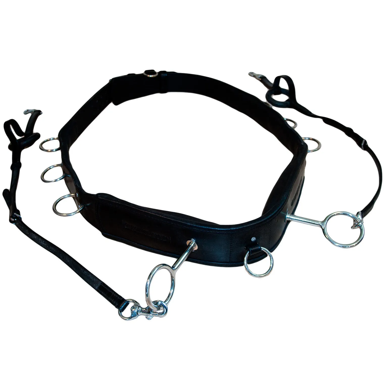 Karlslund Longeringsgjord