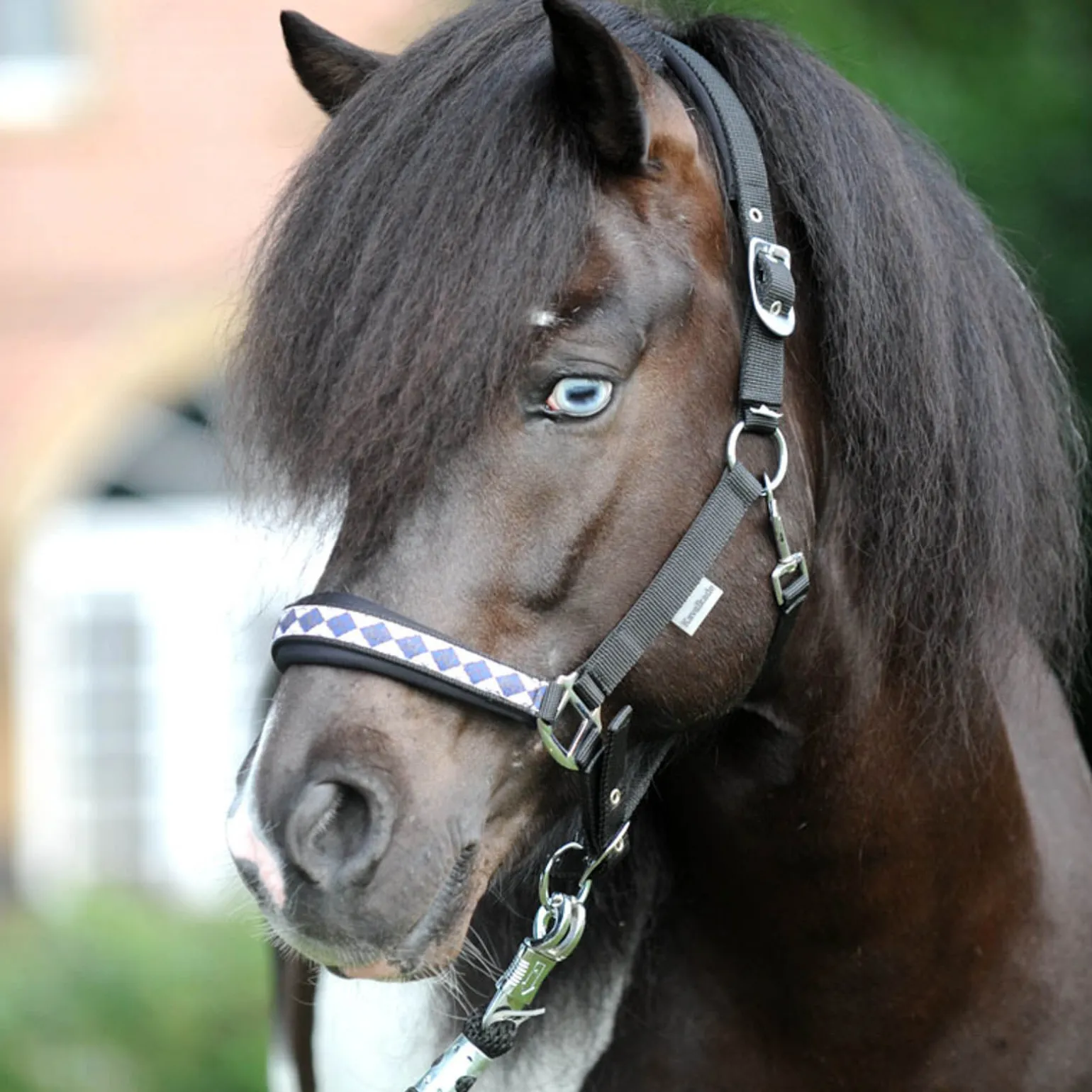 Kavalkade Classic grime til islandshest